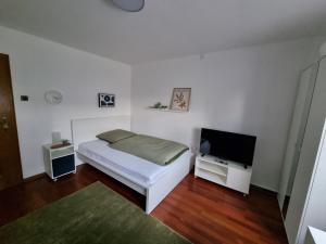 um quarto com uma cama e uma televisão de ecrã plano em Ferienwohnung 120 em Schloß Holte-Stukenbrock