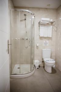 a bathroom with a shower and a toilet at Pensión Mastil 16 in Málaga