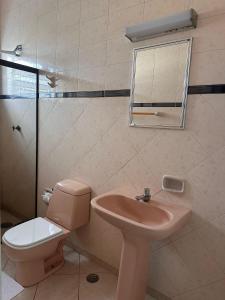 a bathroom with a sink and a toilet and a mirror at Hotel Bandeirantes de SJBV in São João da Boa Vista