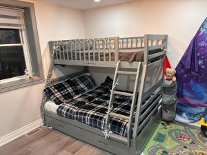 a bunk bed with a ladder in a room at House on Farm in Rosemonte