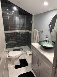 a bathroom with a sink and a toilet and a shower at House on Farm in Rosemonte