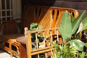 Galeri foto Back to spring BnB di Kota Tua Hengchun