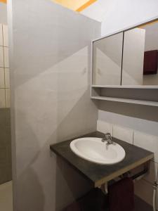 une salle de bain avec un lavabo et un miroir dans l'établissement Sous la vigne, à Rustrel