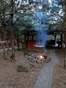 a fire pit in the middle of a forest at Tajemniczy Ogród 