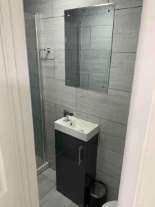een badkamer met een wastafel en een douche met een spiegel bij Cosy Studio Flat-Just Renovated-Free Parking & Independent Entrance in Hanworth