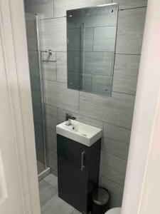 a bathroom with a sink and a shower with a mirror at Cosy Studio Flat-Just Renovated-Free Parking & Independent Entrance in Hanworth