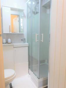 a bathroom with a glass shower and a toilet at Comfortable 4 bed Apt in Paisley Next to Station in Paisley