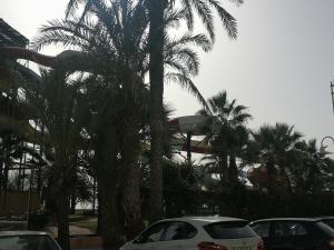 Fotografie z fotogalerie ubytování Apartamento Playa Velilla Park II v destinaci Almuñécar