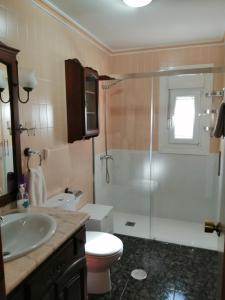 y baño con lavabo, aseo y ducha. en Casa rural Quebrada del Toro, en Ossa de Montiel