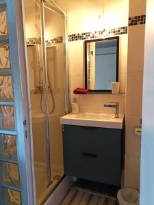 W łazience znajduje się umywalka i prysznic. w obiekcie Chez Anna w Aix-les-Bains