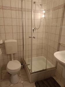 a bathroom with a shower and a toilet and a sink at ZAJAZD Wałbrzych in Wałbrzych