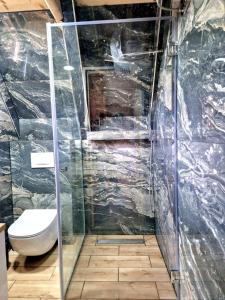 La salle de bains est pourvue de toilettes et d'une douche en verre. dans l'établissement Vila Homoljska Idila1 Banja Zdrelo, à Petrovac na Mlavi