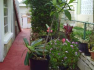 Zahrada ubytování LeMarida Suites
