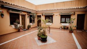 a courtyard with potted plants in a building at Apartamentos Turisticos Mastil 16 P2 in Málaga