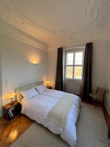 Un dormitorio con una cama grande y una ventana en Luxuriöse Design Wohnung im Barockschloss 110 m2, en Zeitlofs