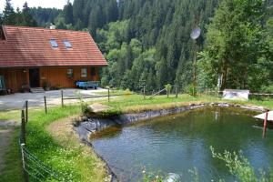 eine Blockhütte mit einem Teich davor in der Unterkunft Ferienhaus Waldenstein 1 in Wolfsberg