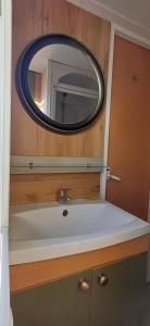 ein Bad mit einem Waschbecken und einem Spiegel in der Unterkunft Le jardin de Domi in Ventiseri