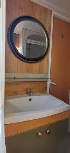 a bathroom with a sink and a mirror at Le jardin de Domi in Ventiseri