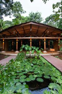 Zahrada ubytování Hotel Aguas Claras Member of the Cayuga Collection