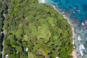 an overhead view of a forest next to the ocean at MINI UP! Acogedora casita para 2 personas con AC in Cocles
