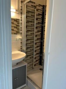 une salle de bain avec douche et lavabo dans l'établissement Appartement convivial Saint-Quay-Portrieux 60 m² avec terrasse, à Saint-Quay-Portrieux 7 autres photos