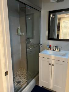 y baño con ducha y lavamanos. en Washington DC OASIS-BLOCK FROM METRO-OFF STREET PARKING, en Washington