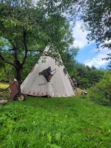 un hombre de pie junto a una tienda en un campo en Przygórze 201 - agroturystyka w sercu Gór Sowich, 