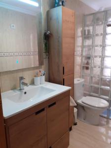 a bathroom with a sink and a toilet at El Patio de Lucy in Puerto de Sagunto