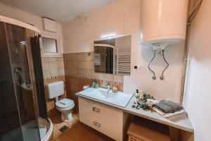 a bathroom with a sink and a toilet and a shower at Apartment with Atrium Anabela in Tolmin +37 photos