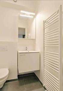une salle de bain blanche avec un lavabo et des toilettes dans l'établissement Furnished 2 Bedroom Apartment in City Center, à Bruxelles 8 autres photos