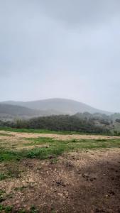 un campo vacío con vistas a una montaña a lo lejos en La sierra, en Algar