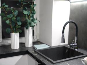 a kitchen sink with two white vases with a plant at ZB Apartment GREY Bytom Centrum Piekary Sląskie Siemianowice Chorzów in Bytom