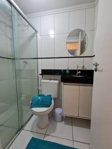 ein Bad mit einem WC, einer Dusche und einem Waschbecken in der Unterkunft Apto Decorado 2 quartos c/ Estacion-Jd Nova Europa-Campinas in Campinas