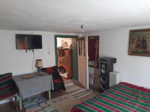 TV/trung tâm giải trí tại Pensiunea Lazar