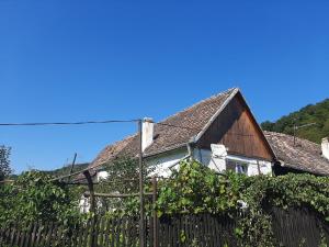 Phong cảnh thiên nhiên gần nhà nghỉ dưỡng