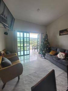 a living room with a christmas tree and a couch at Cabaña Na-tatik in Ocosingo