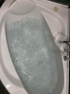 une baignoire remplie de glace dans un lavabo dans l'établissement Silver appartament Oceania, à Envie