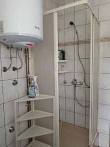 ein Bad mit einer Dusche in der Unterkunft Matea in Gospić