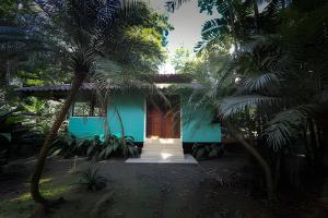 uma casa azul com palmeiras em frente em Jungle Dreamz em Manzanillo