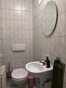a bathroom with a sink and a toilet and a mirror at Ferienwohnung Talblick in Beffendorf +28 photos