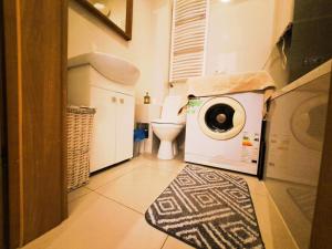a washing machine in a bathroom with a toilet at Apartament z ogrodem w sercu Torunia in Toruń