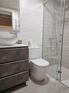 a bathroom with a shower and a toilet and a sink at Loft Seco super equipado cerca de metro Pacífico in Madrid