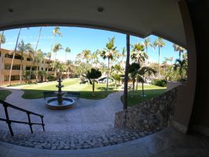 uma vista para um pátio com uma fonte e palmeiras em Marina Sol em Cabo San Lucas