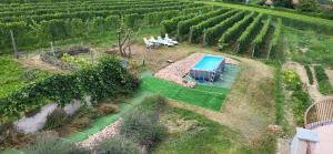 an aerial view of a garden with a swimming pool at Casa Da Cristina Apartment in La Morra