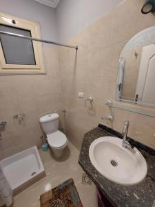 a bathroom with a sink and a toilet and a mirror at Luxor apartment in Luxor
