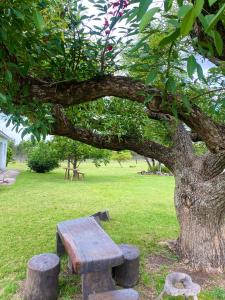 un banco de madera sentado bajo un árbol en un parque en Doña Hilda en Mercedes