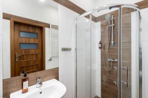 een badkamer met een wastafel en een douche bij Wawel Apartments - Old Town in Krakau
