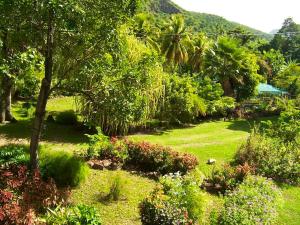 een tuin met planten en bomen en een grasveld bij Villa de 6 chambres avec wifi a Vieux Habitants a 3 km de la plage in Vieux-Habitants
