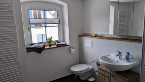 uma casa de banho com um lavatório, um WC e uma janela. em Ferienwohnung Angie em Niederrotweil
