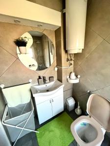 uma casa de banho com um WC, um lavatório e um espelho. em Apartman Ristovic em Vrnjačka Banja